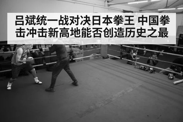 boxer training gym